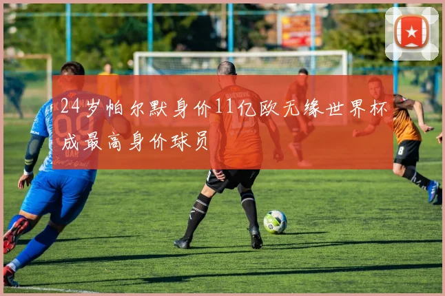 24岁帕尔默身价11亿欧无缘世界杯成最高身价球员