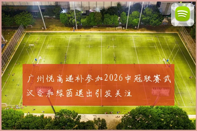 广州悦高递补参加2026中冠联赛武汉合和绿茵退出引发关注